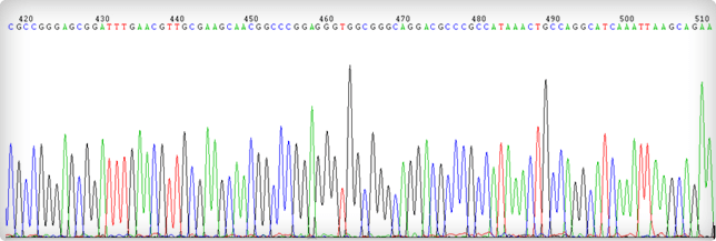 fig1b